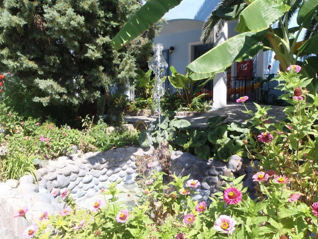 Blue Sky Hotel - Petra - Lesvos - Greece Bagian luar foto